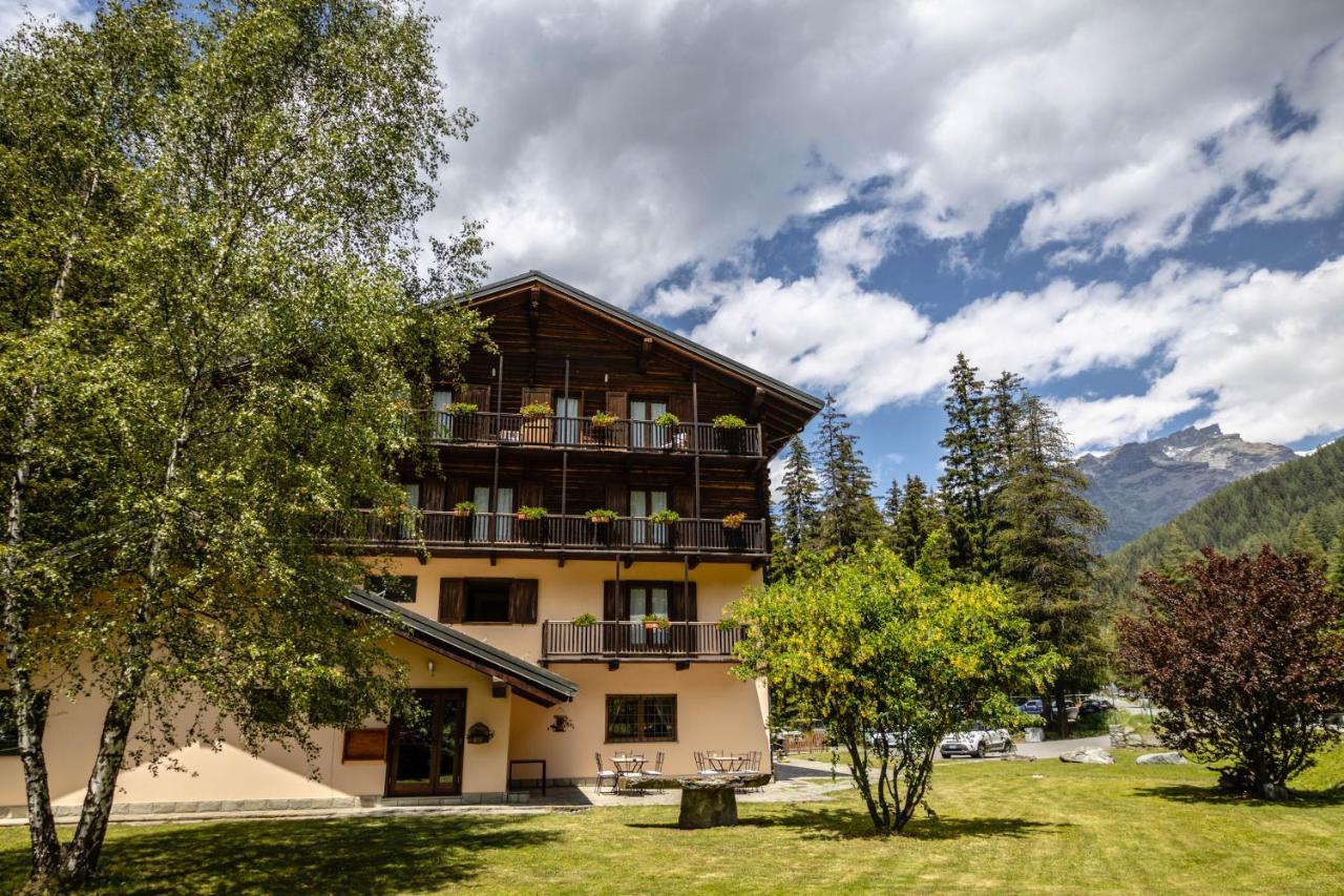 Stella Alpina Hotel 3*