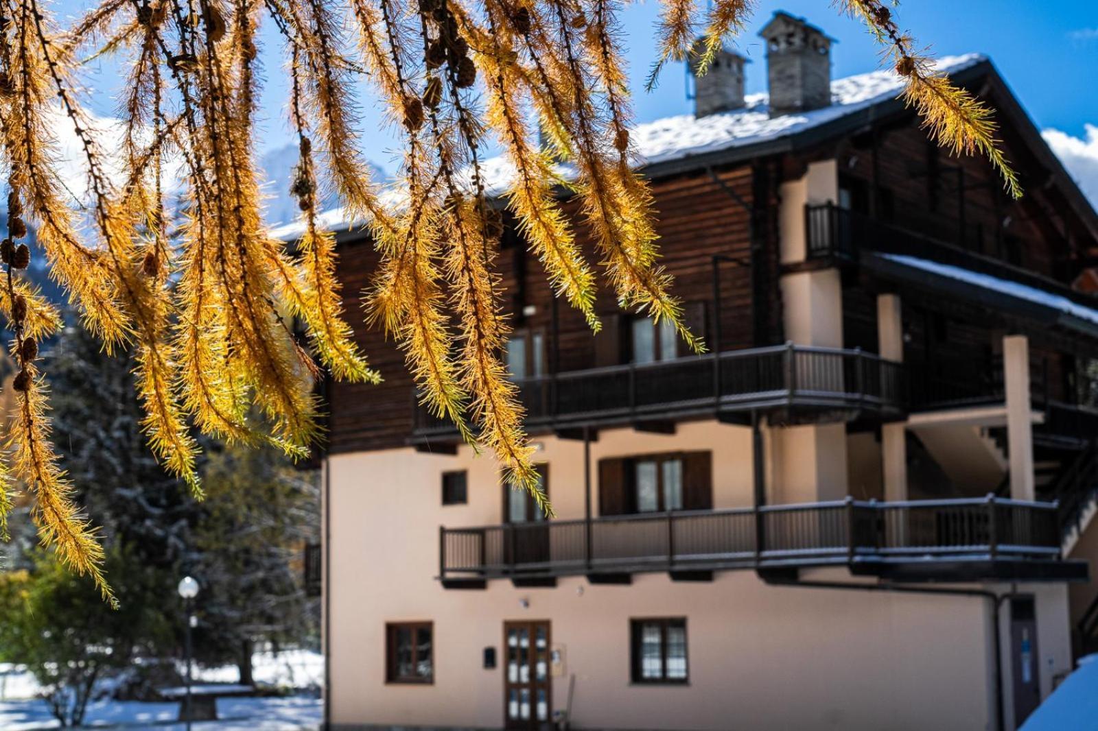 Hotel Stella Alpina