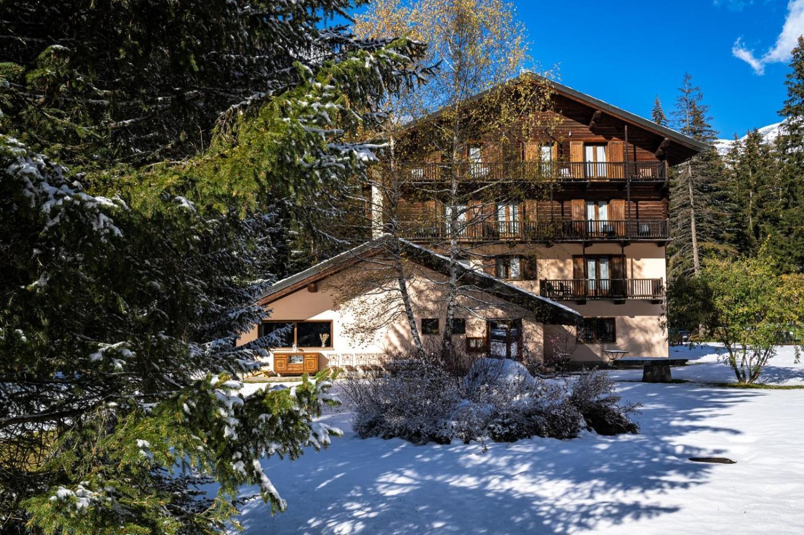 Alpine Forest Hotel 3*