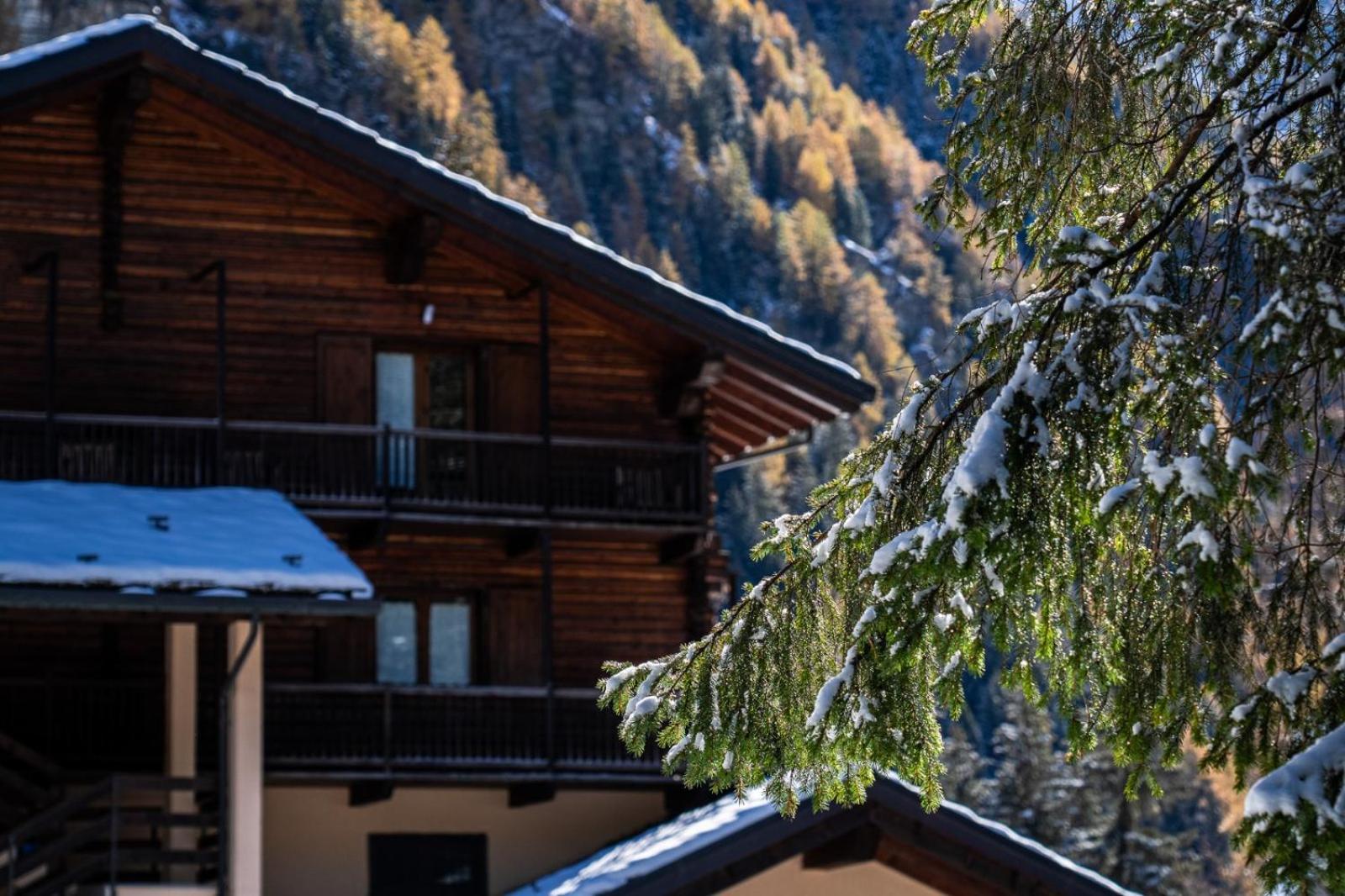 Stella Alpina Champoluc