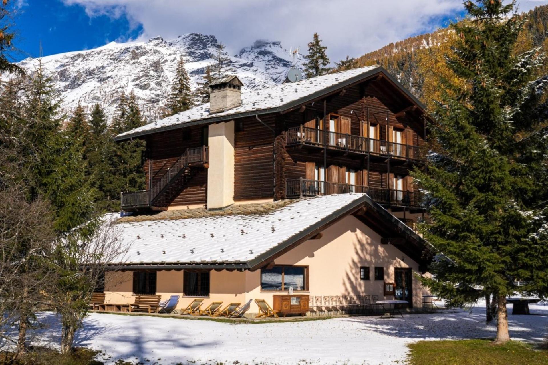 Alpine Forest Champoluc